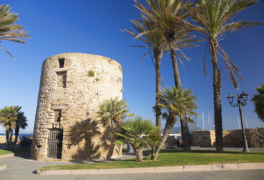 The palm-fringed Torre della Polveriera, a historic stone watchtower in Piazza della Juharia atop the Old Town walls, Alghero, Sassari, Sardinia, Italy, Mediterranean, Europe