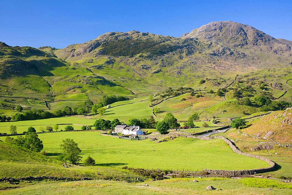 View across valley floor to Fell Foot Farm and Wetherlam, Little Langdale, Lake District National Park, UNESCO World Heritage Site, Cumbria, England, United Kingdom, Europe