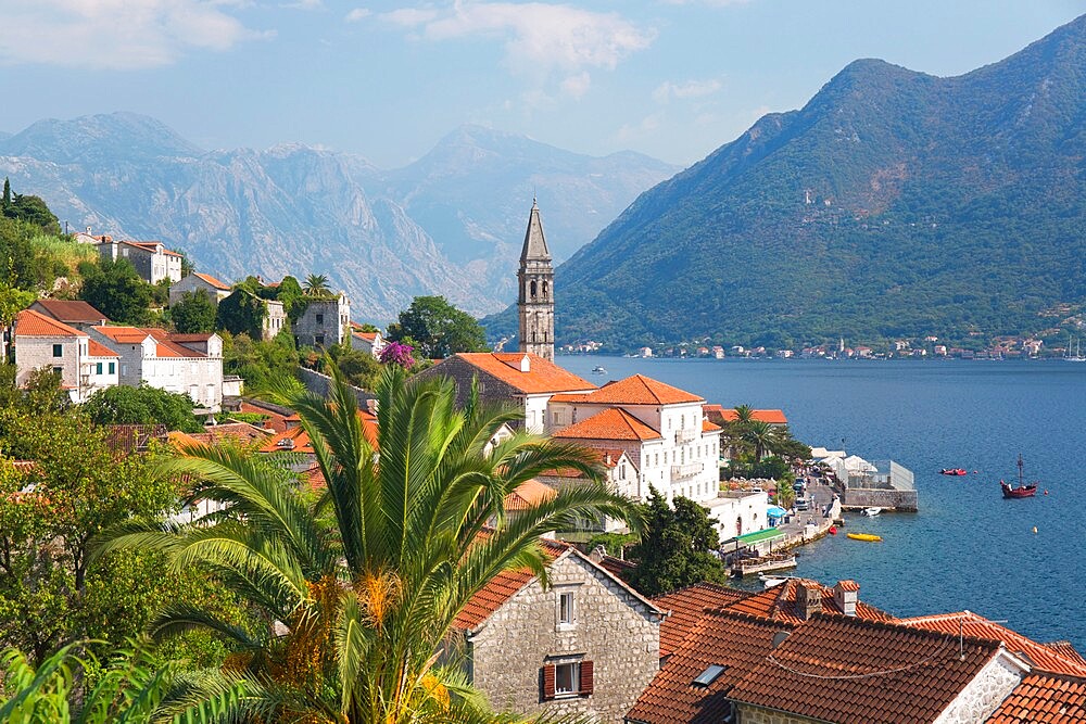 View over roofs to the Bay of Kotor, campanile of the Church of St. Nicholas (Sveti Nikola), prominent, Perast, Kotor, UNESCO World Heritage Site, Montenegro, Europe