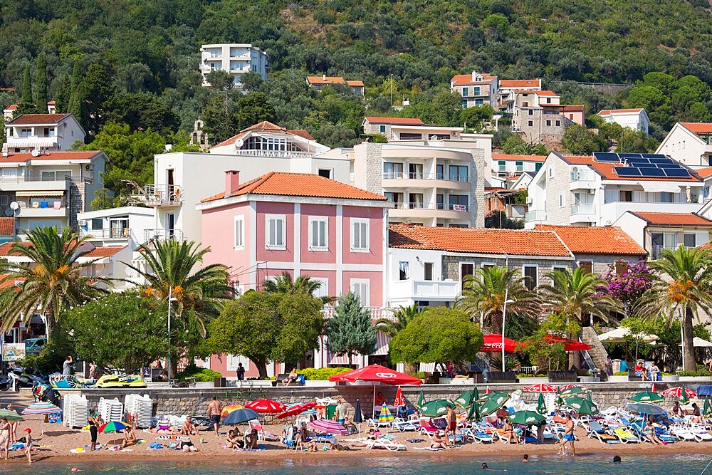 View to the town beach and colourful houses overlooking the palm-lined seafront promenade, Petrovac, Budva, Montenegro, Europe