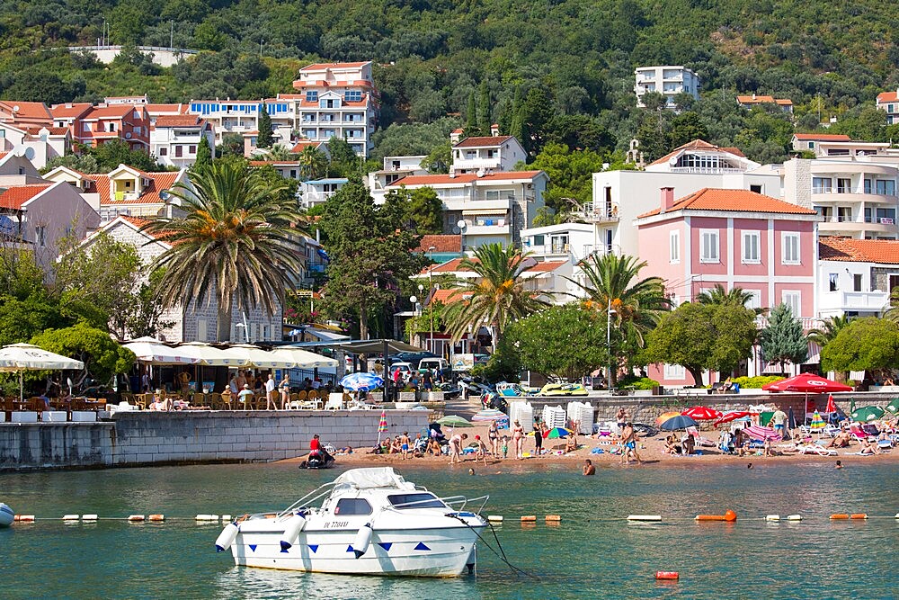 View from harbour to the town beach and palm-lined seafront promenade, Petrovac, Budva, Montenegro, Europe