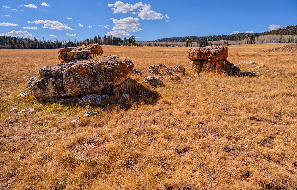 Lonely Boulders and exposed rock in the grassy plain of Pleasant Valley in the Kaibab National Forest just north of Grand Canyon North Rim Arizona.