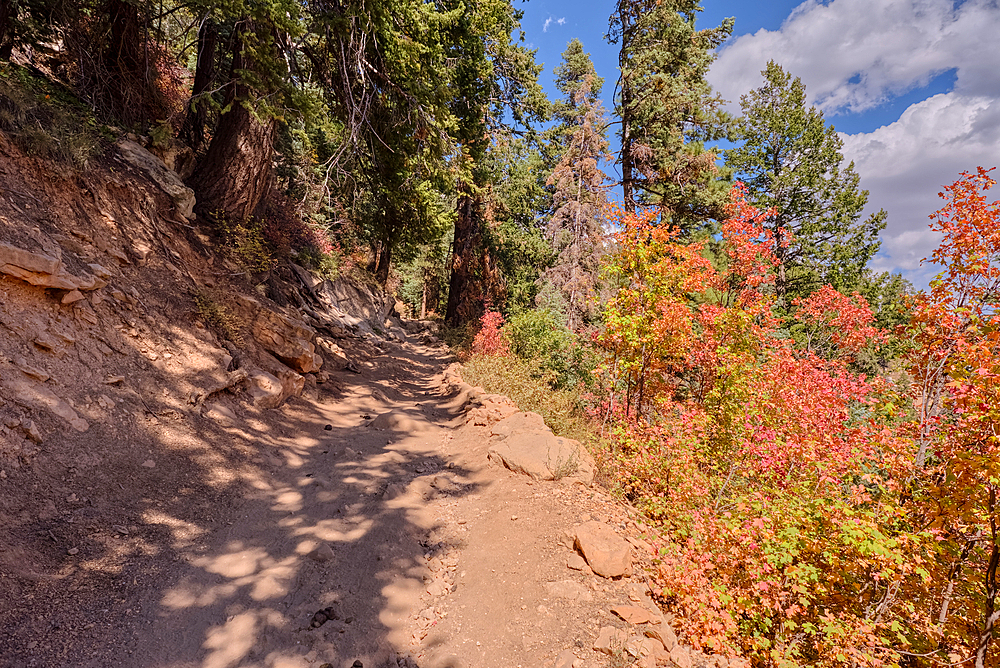 Looking back up the first leg of the North Kaibab Trail at Grand Canyon North Rim, UNESCO, Arizona, United States of America