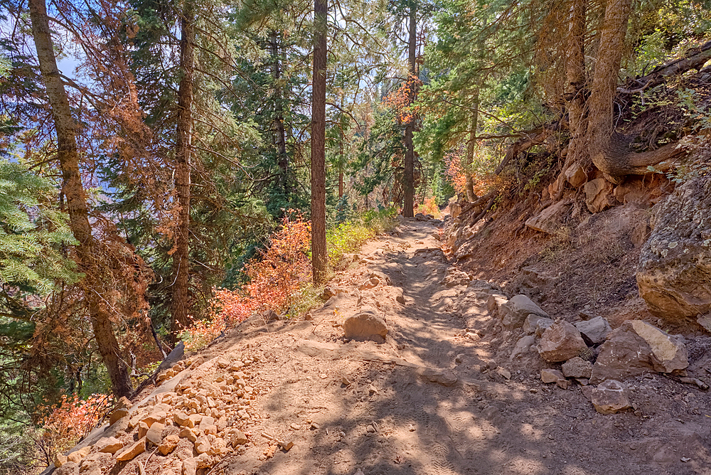 The upper leg of the North Kaibab Trail at Grand Canyon North Rim Arizona.