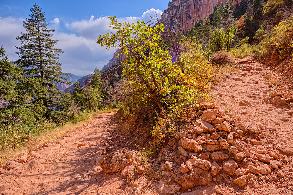 The 20th switchback along the North Kaibab Trail at Grand Canyon North Rim Arizona.