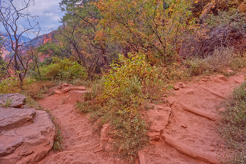 The 23rd switchback along the North Kaibab Trail at Grand Canyon North Rim, UNESCO, Arizona, United States of America