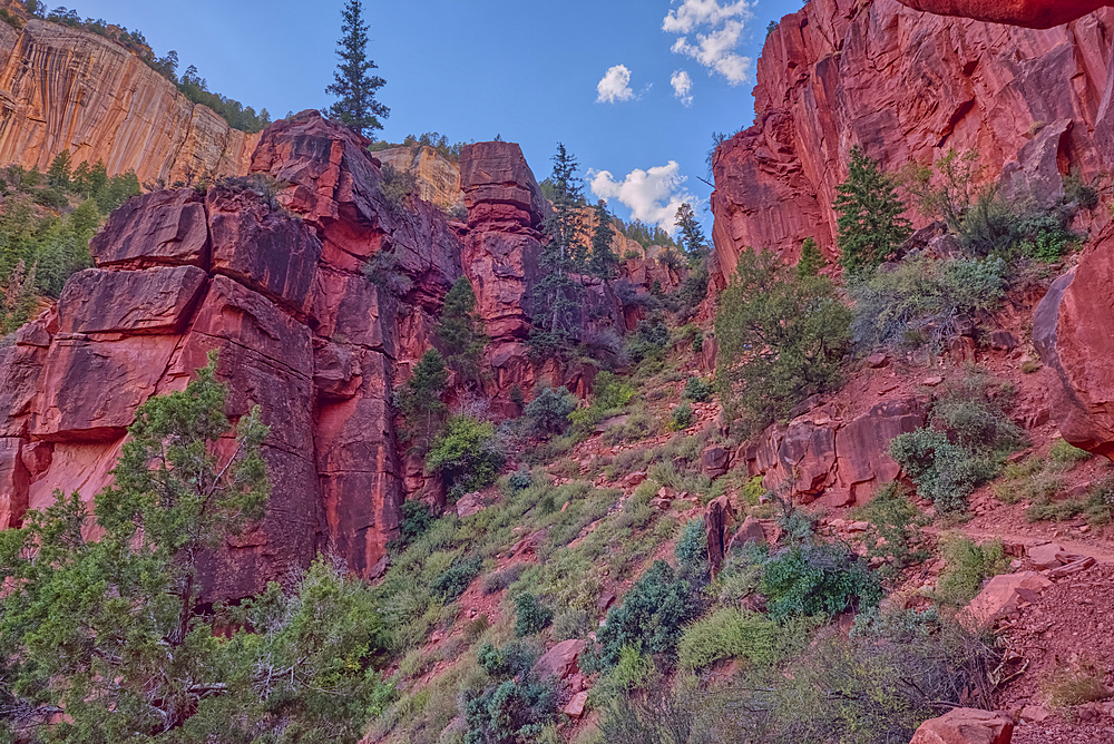 The red wall cliffs of Roaring Springs Canyon along the North Kaibab Trail at Grand Canyon North Rim Arizona.