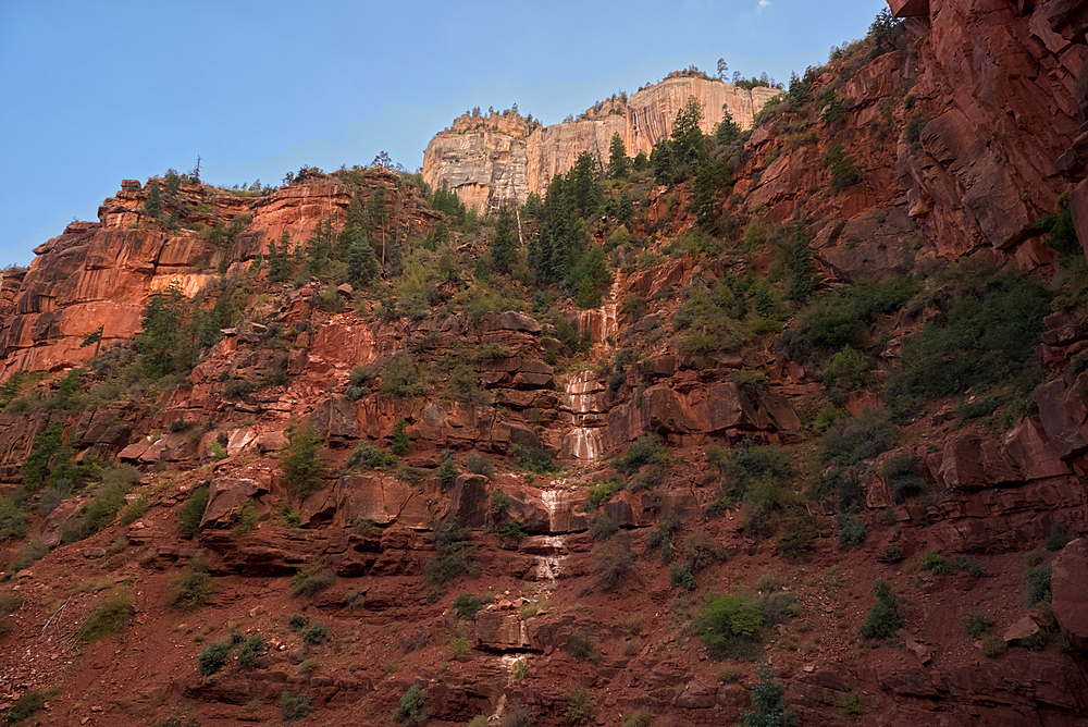 An ephemeral Spring that trickles down the Red Wall of Roaring Springs Canyon along the North Kaibab Trail at Grand Canyon North Rim Arizona. The streaks on the rock are the salty minerals left behind when the water dries up.