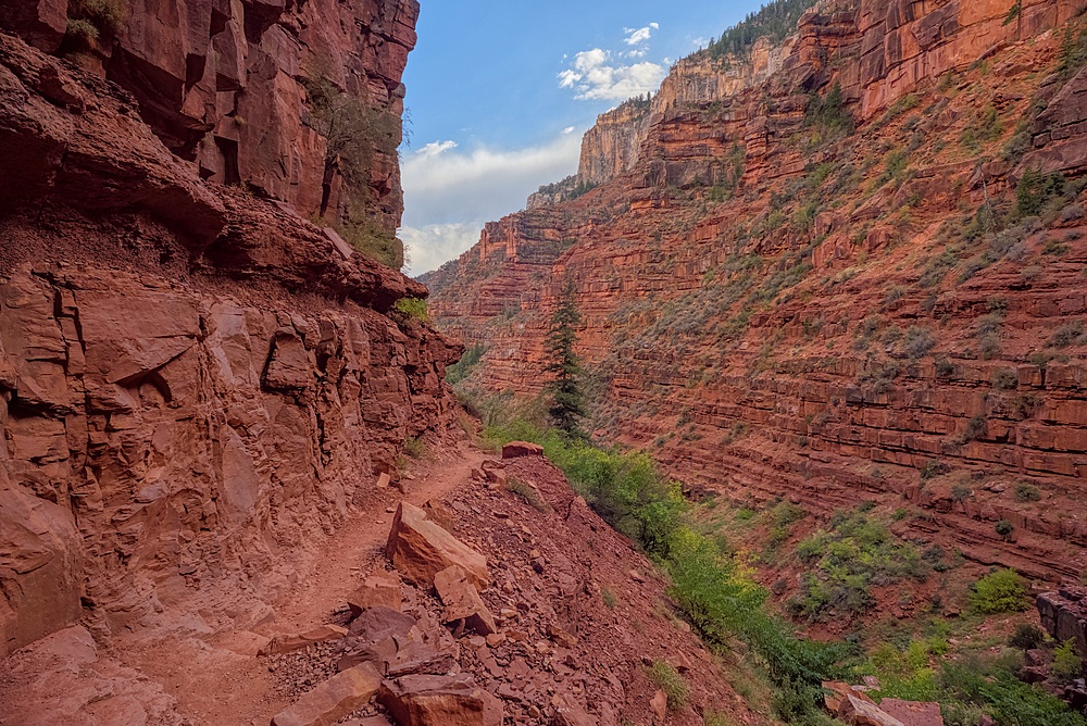 The sheer cliff of the Red Wall along the North Kaibab Trail at Grand Canyon North Rim Arizona.