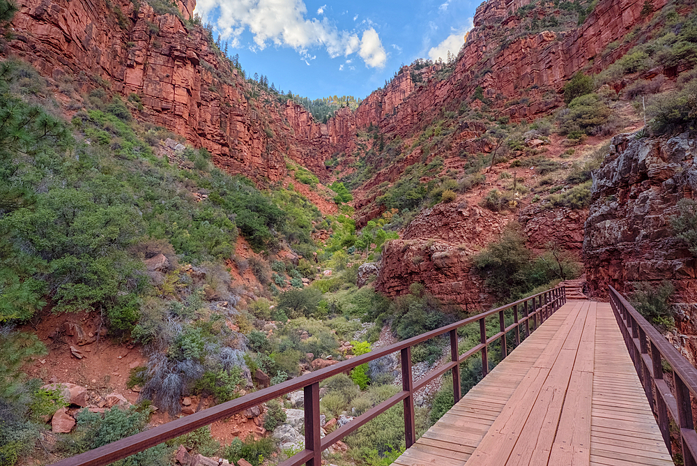 View of the Roaring Springs Canyon cliffs from the Red Wall Bridge at Grand Canyon North Rim Arizona.