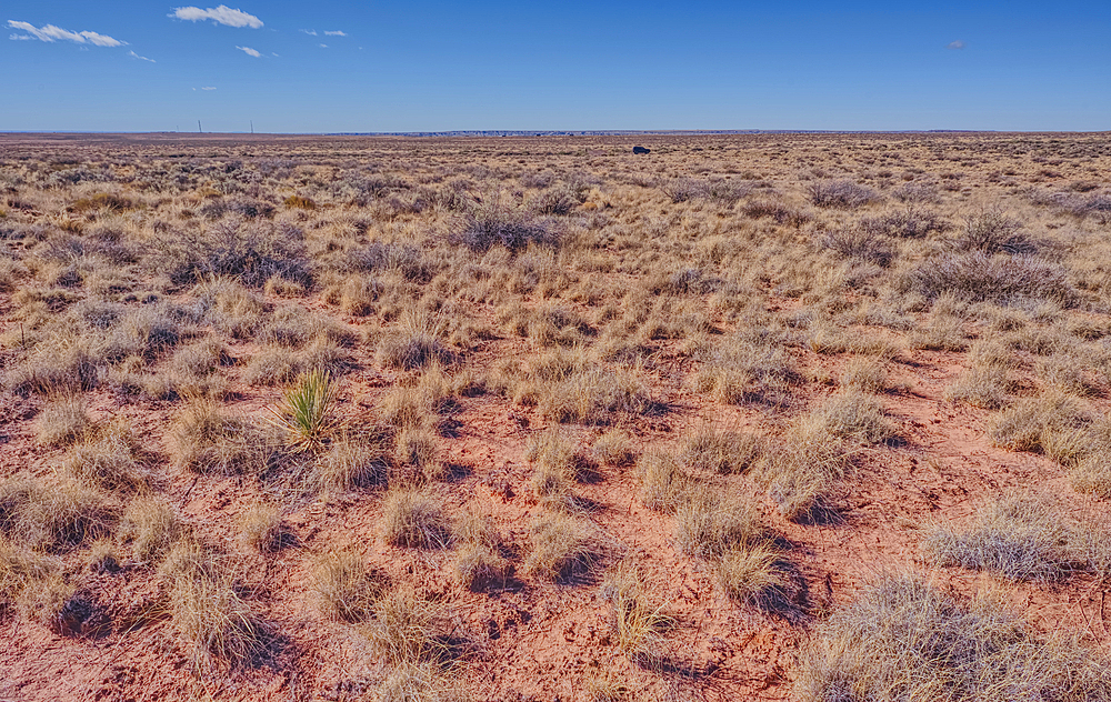 The grassland prairie near Dead Wash in Petrified Forest Arizona.