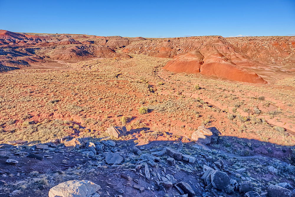 Dead Wash Valley in Petrified Forest National Park, Arizona, United States of America