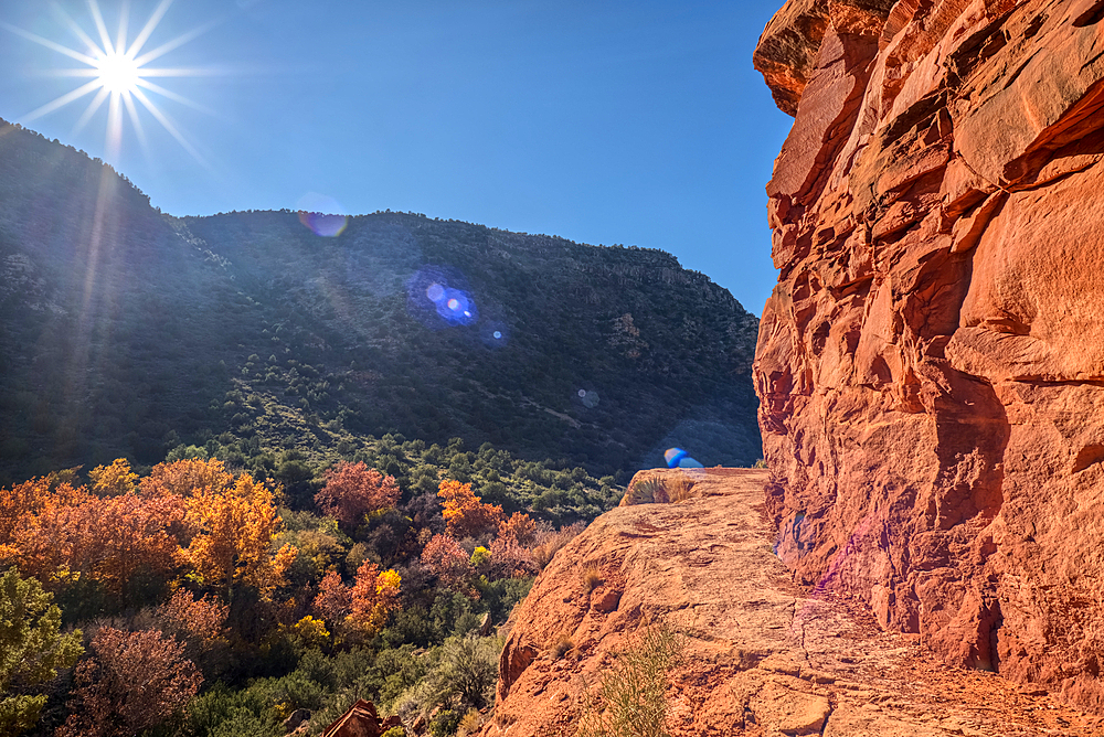 Wet Beaver Creek Canyon in the Coconino National Forest Arizona.