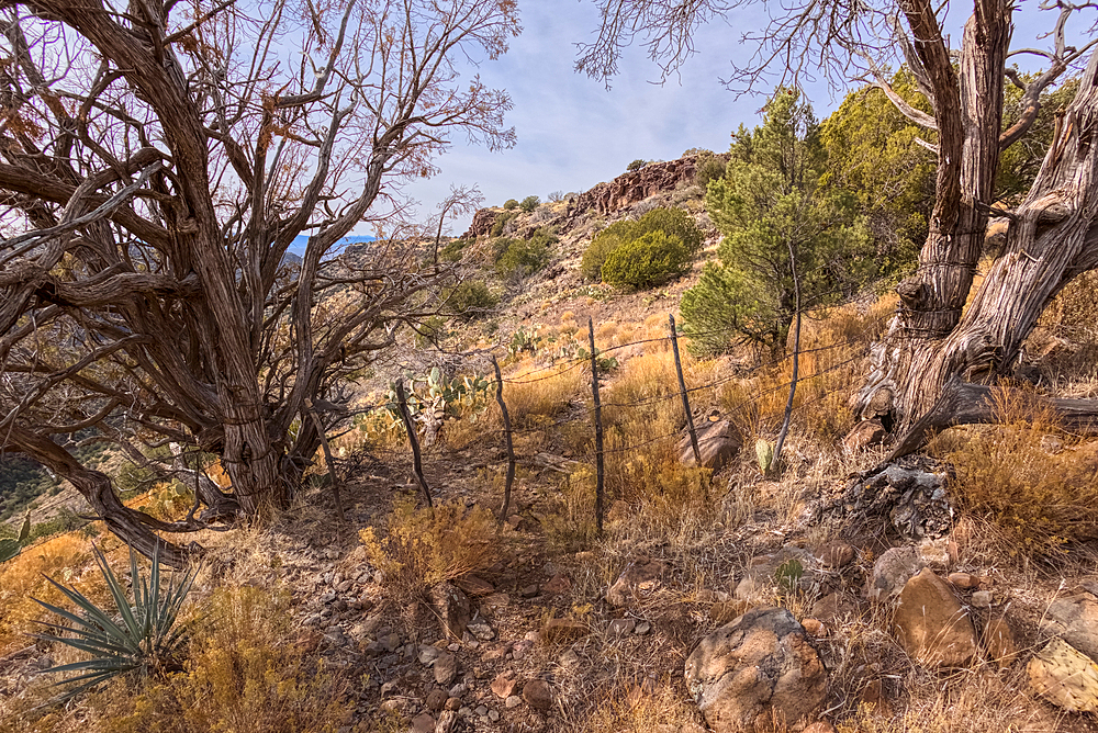 The boundary gate between Coconino National Forest and the Wet Beaver Creek Wilderness in Arizona. The fence is meant to keep cattle out of the wilderness area. The trail continues onto White Mesa past this gate.