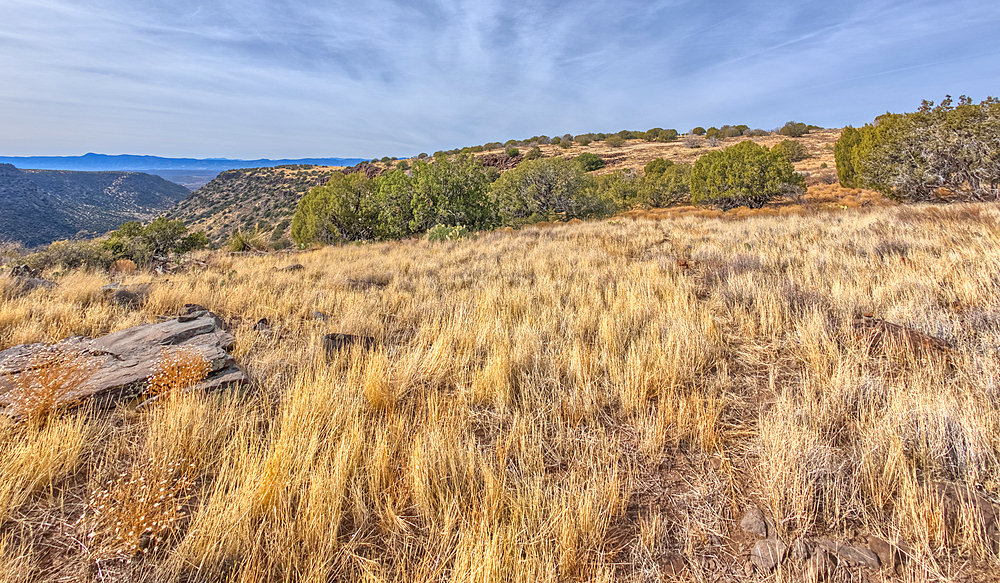 The grassland prairie on the summit of White Mesa in Coconino National Forest Arizona.