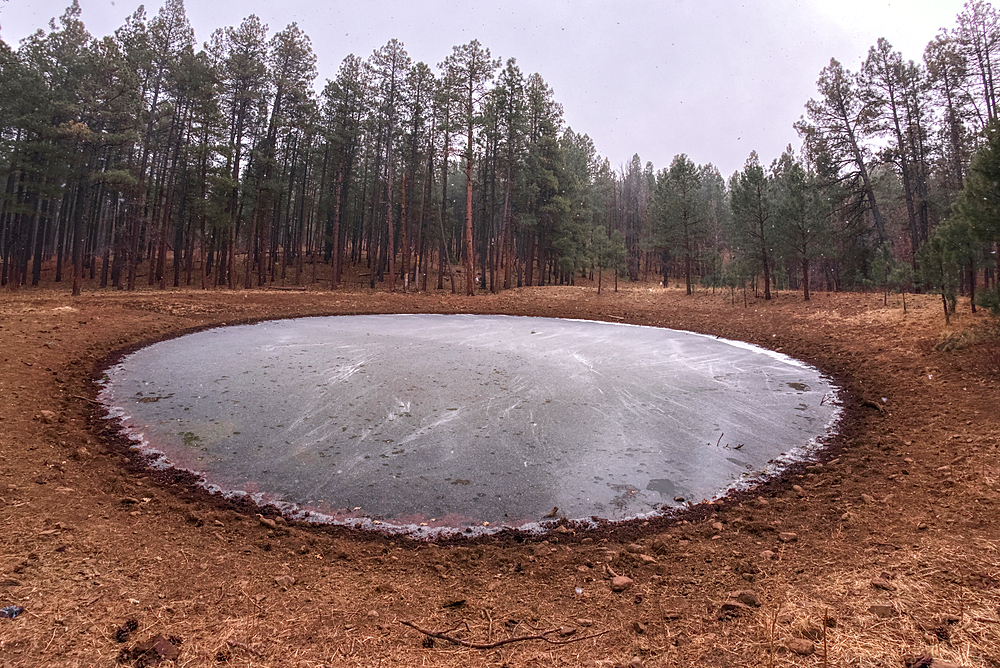 The frozen Campbell Draw Tank in Coconino National Forest of Arizona in winter as a snow storm approaches the area.