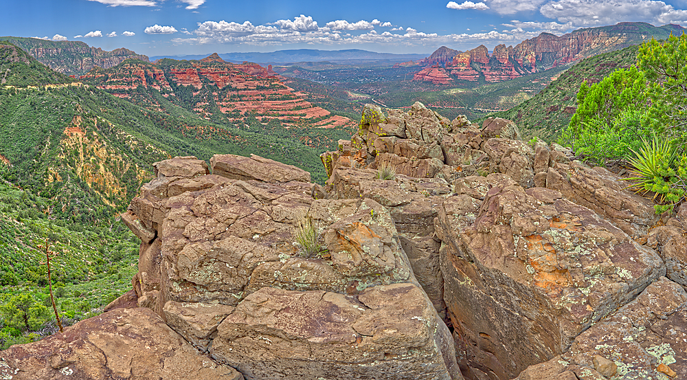 The Craggy Cliffs overlooking Casner Canyon north of Sedona from near the Schnebly Hill Vista, Arizona, United States of America, North America