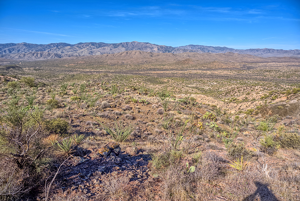 View of Black Canyon on the west side of the Agua Fria National Monument of Arizona with the Bradshaw Mountains in the distance.