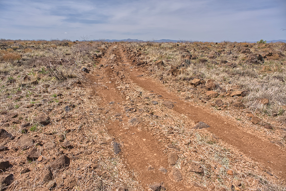 A primitive road in the Agua Fria National Monument that branches off from Forest Service Road 9023 near Silver Creek Canyon Arizona.