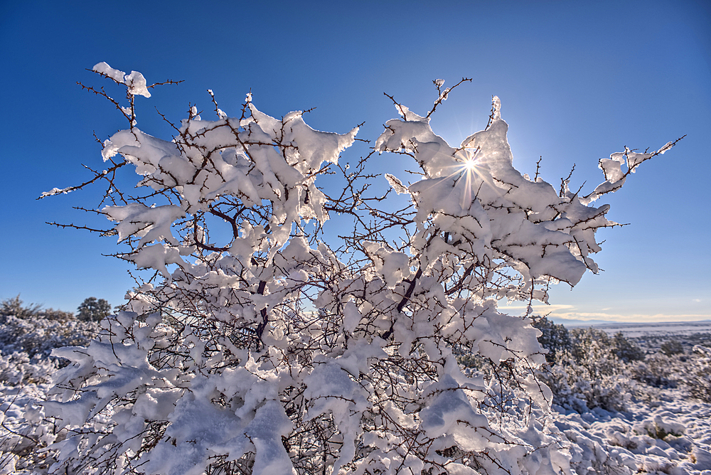 Snow covered landscape, Chino Valley, Arizona, USA