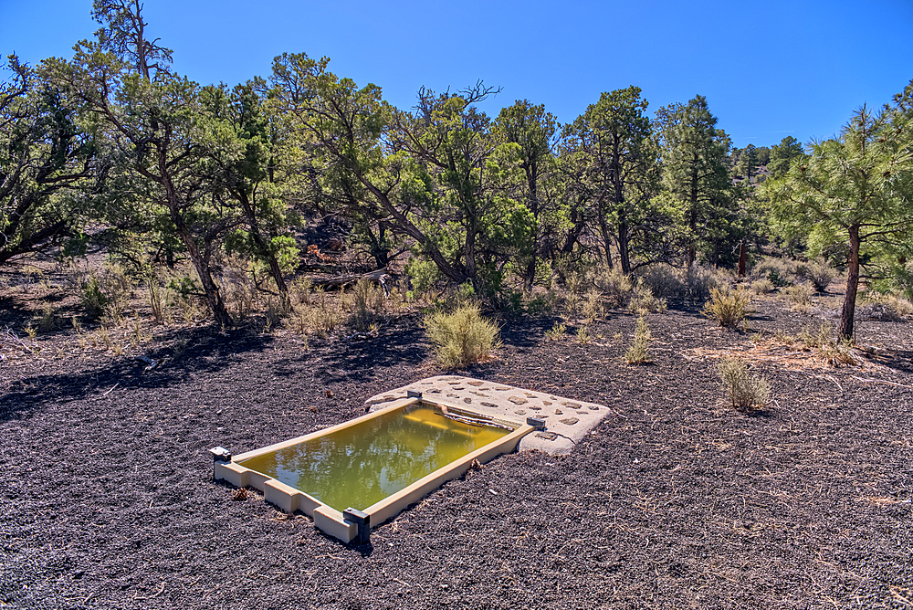 A water catchment in the Coconino National Forest, Sunset Crater National Monument, Arizona, USA