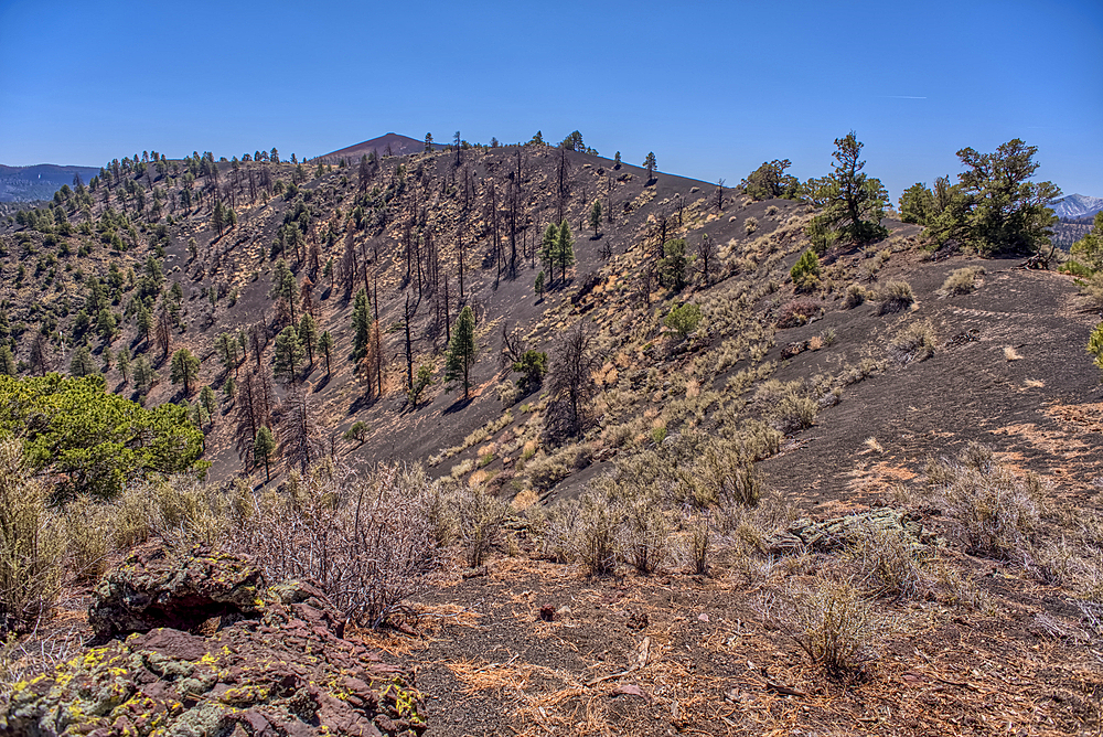 Volcanic cinder hills in Coconino National Forest, Arizona, USA