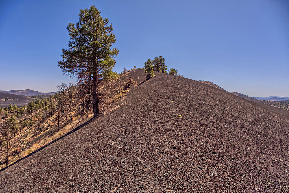 Volcanic cinder hills in Coconino National Forest, Arizona, USA