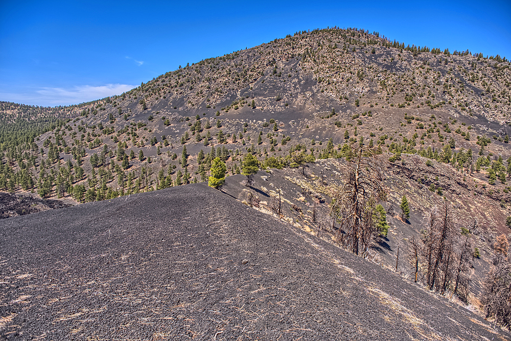 The southeast summit of O'Leary Peak, Coconino National Forest, Arizona, USA