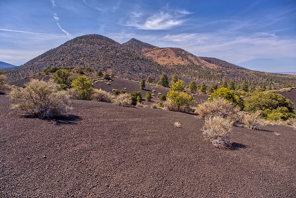 O'Leary Peak, Coconino National Forest, Arizona, USA