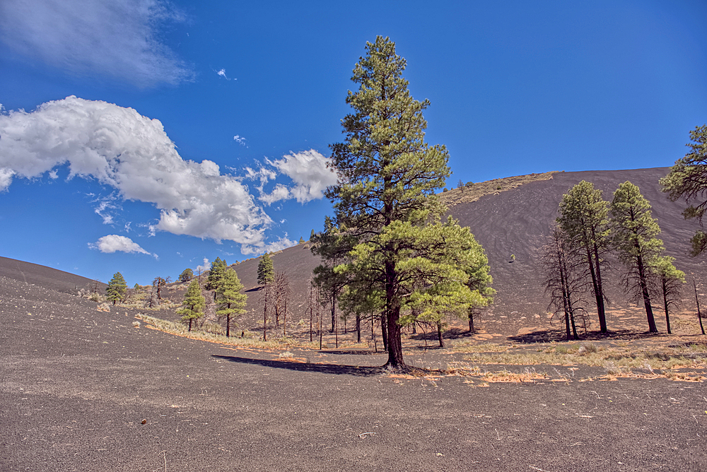 Volcanic cinder hills in Coconino National Forest, Arizona, USA