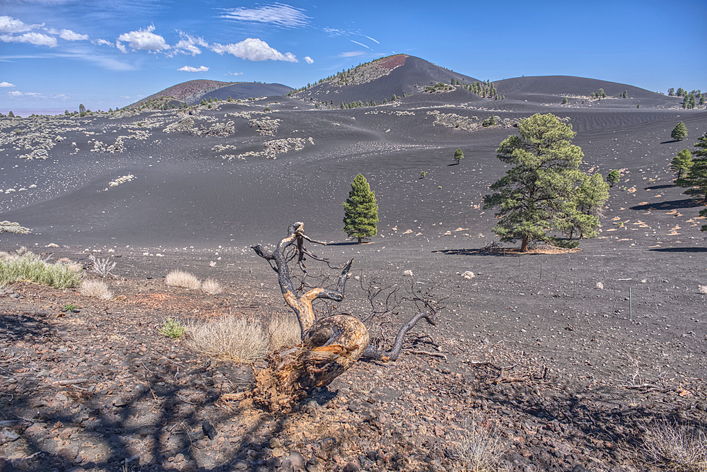 Volcanic cinder hills in Coconino National Forest, Arizona, USA