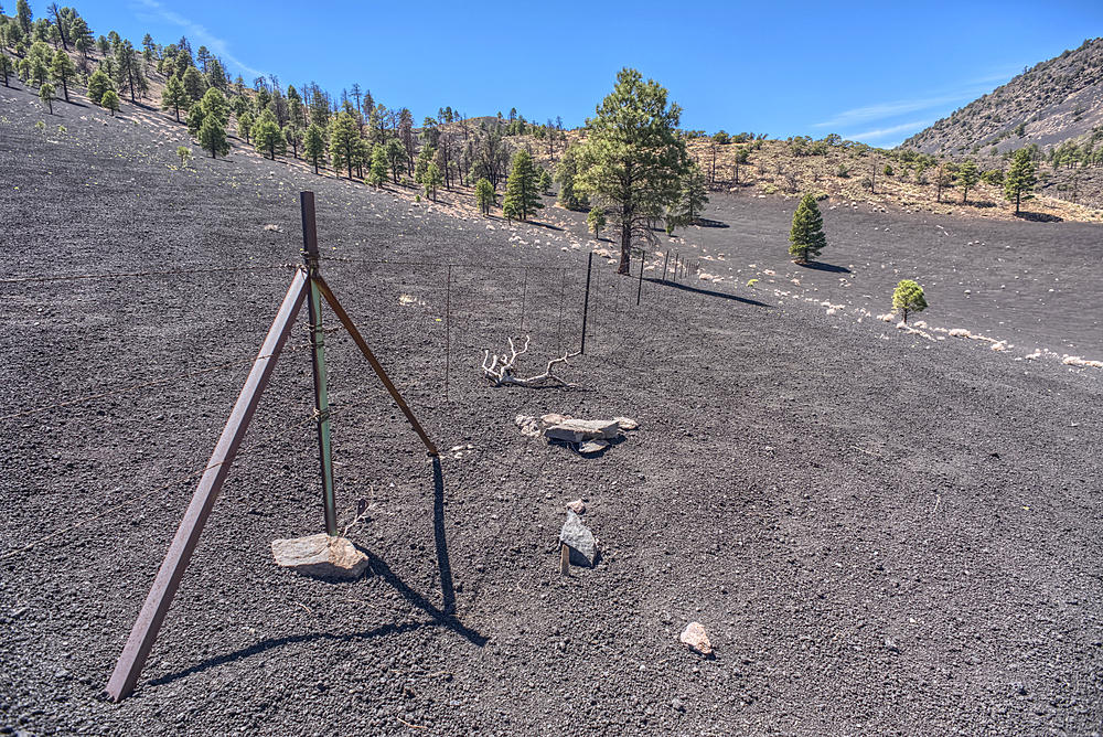 The boundary fence between Coconino National Forest and Sunset Crater National Monument of Arizona.