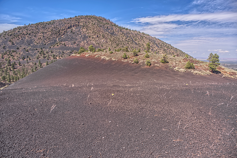 O'Leary Peak, Coconino National Forest, Arizona, USA