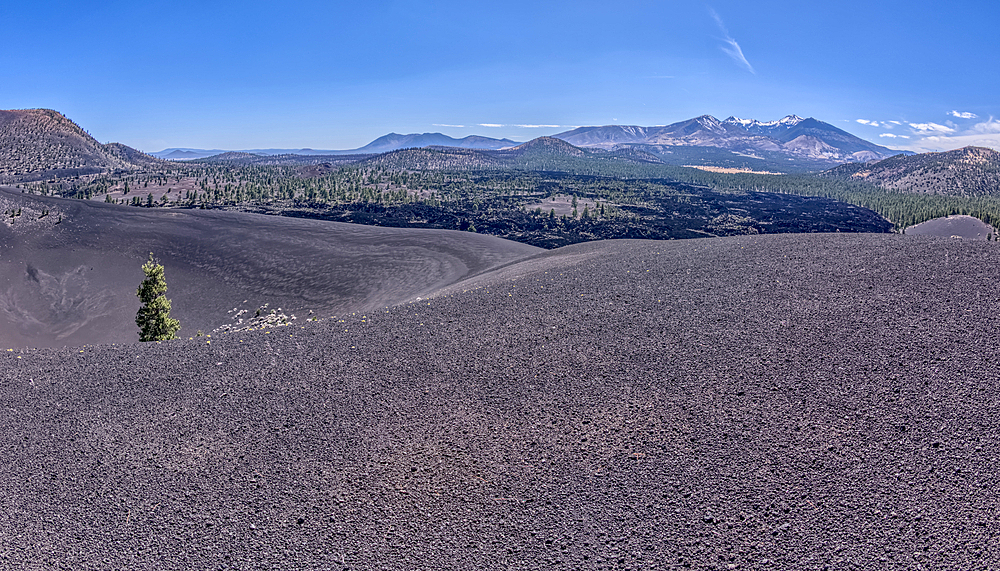 Volcanic cinder rim in Coconino National Forest, Arizona, USA