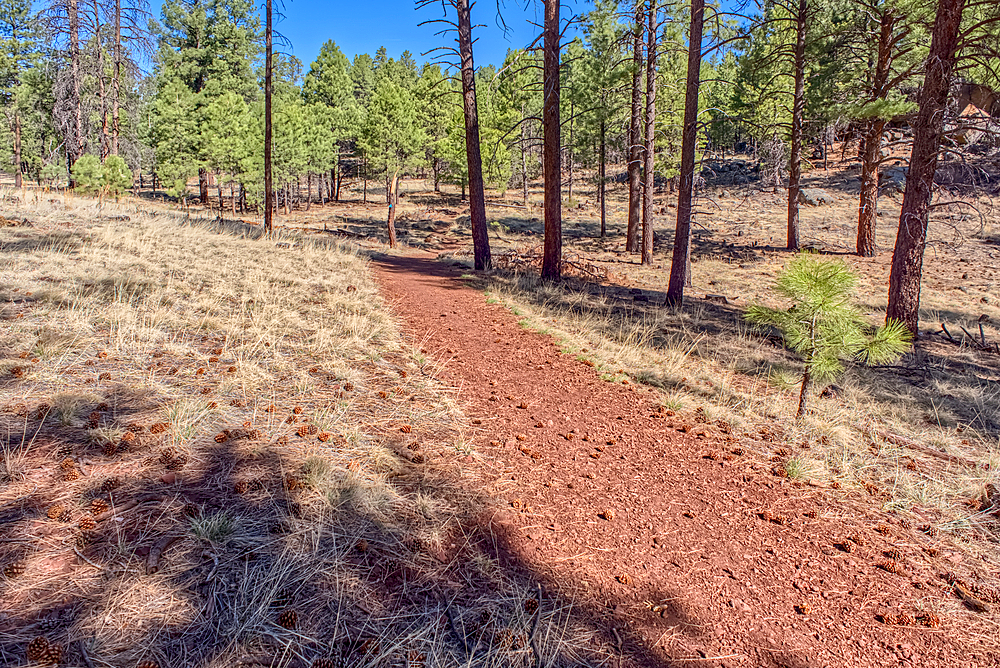 Trail for a sinkhole called the Keyhole Sink in Williams Arizona within the Kaibab National Forest.