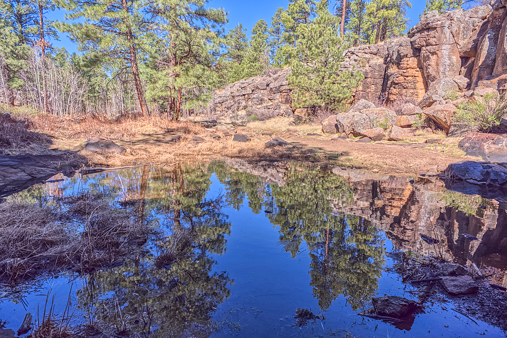 A still pond in Keyhole Sink in the Kaibab National Forest near Williams, Arizona, USA