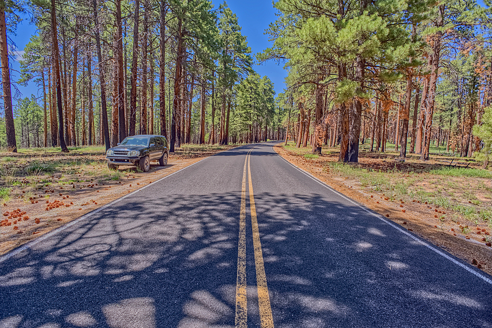 An SUV parked along Cape Royal Road at Grand Canyon North Rim Arizona.