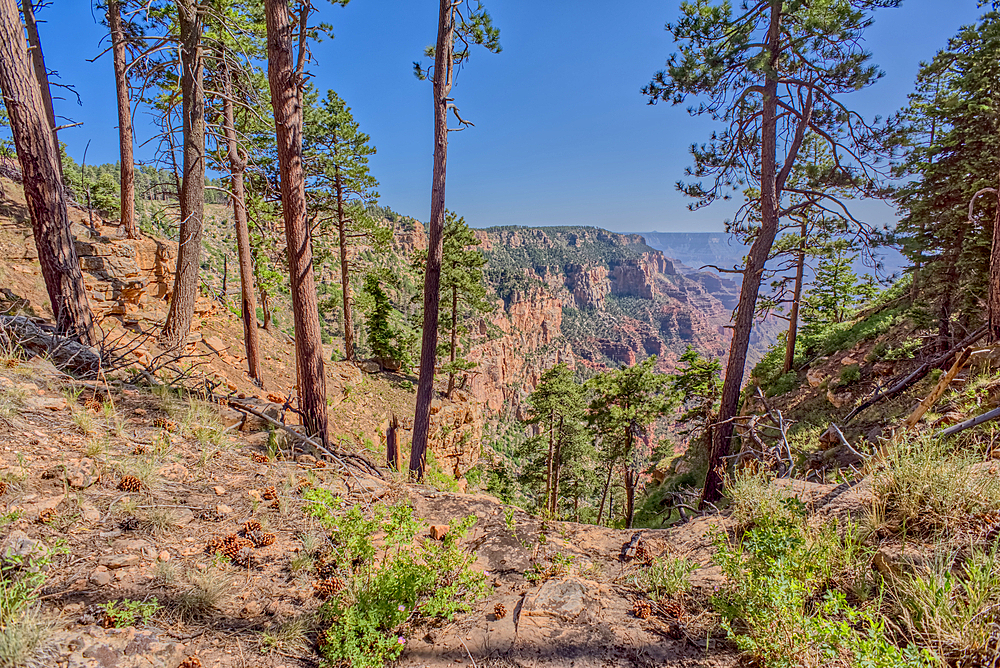 Dry Waterfall on the north end of Clear Creek Canyon at Grand Canyon North Rim Arizona.
