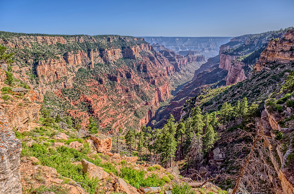 View of Clear Creek Canyon from its north cliffs at Grand Canyon North Rim Arizona.