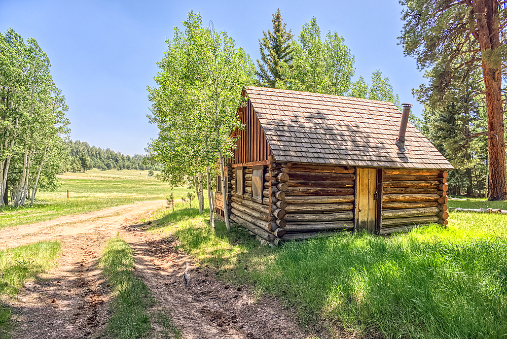 An abandoned homestead in the Kaibab National Forest off of Highway 67 north of Grand Canyon North Rim Arizona. Public land. No property release needed. Preserved by Forest Service as a historical landmark.