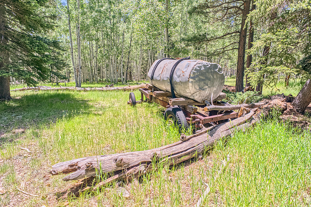 An abandoned homestead in the Kaibab National Forest off of Highway 67 north of Grand Canyon North Rim Arizona. Public land. No property release needed. Preserved by Forest Service as a historical landmark.