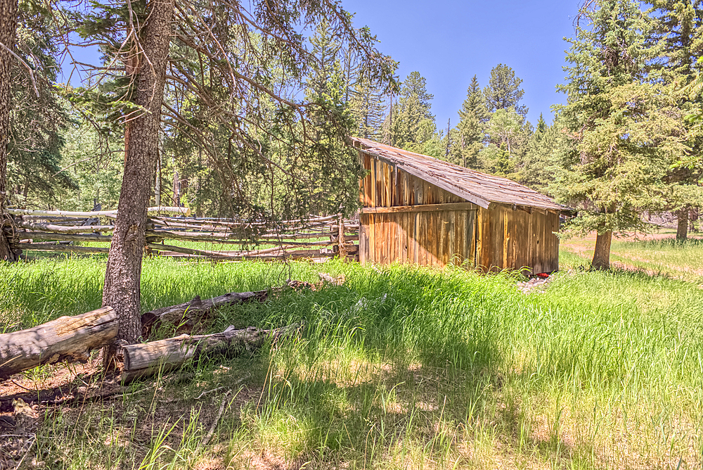 An abandoned homestead in the Kaibab National Forest off of Highway 67 north of Grand Canyon North Rim Arizona. Public land. No property release needed. Preserved by Forest Service as a historical landmark.