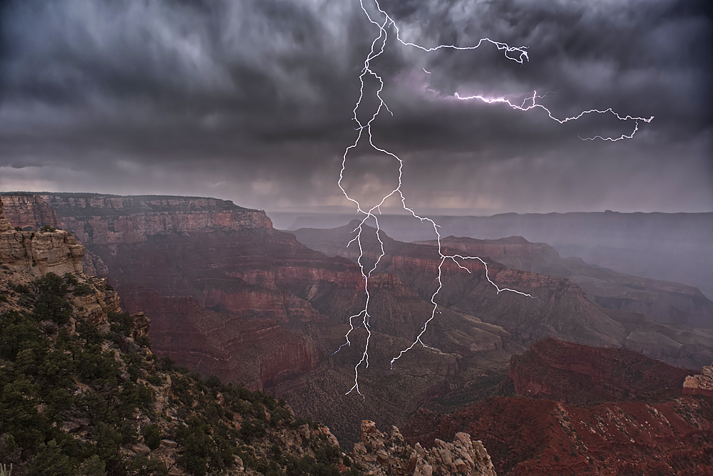 Lightning striking directly overhead viewed from the Walhalla Overlook on Grand Canyon North Rim Arizona.