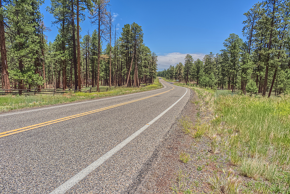 Highway 67 south of Jacob Lake Arizona facing southbound toward Grand Canyon North Rim.