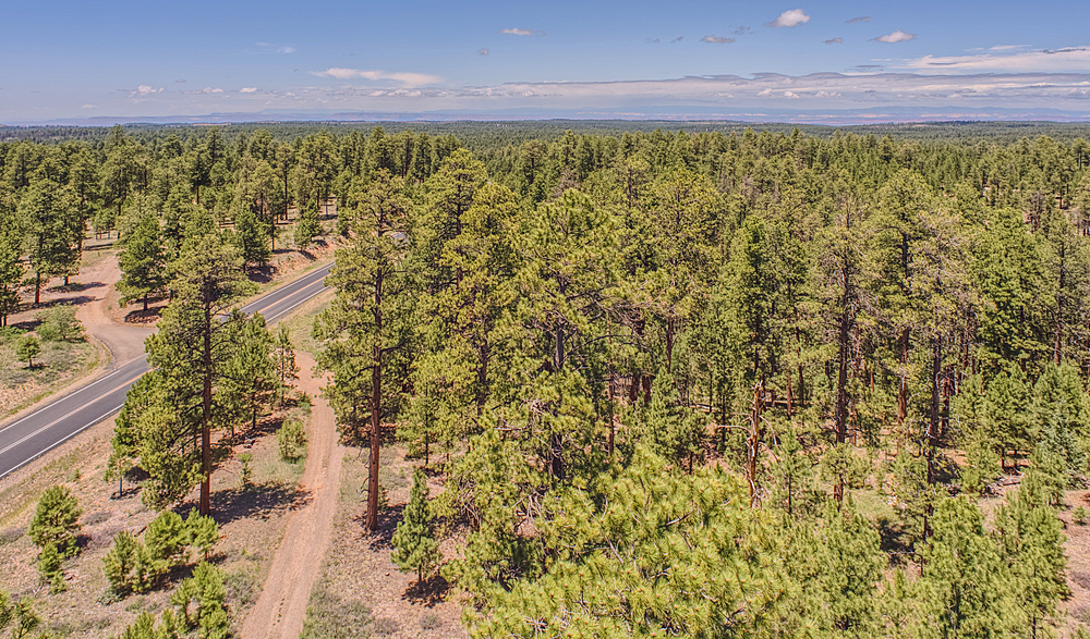 View from the 80 foot tall historic Fire Watchtower at Jacob Lake Arizona. Maintained as a historic landmark by the National Forest Service. No property release needed.