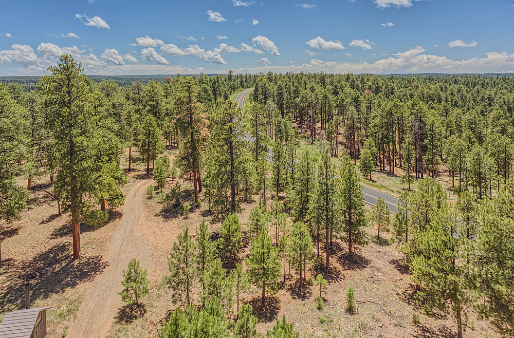 View from the 80 foot tall historic Fire Watchtower at Jacob Lake Arizona. Maintained as a historic landmark by the National Forest Service. No property release needed.