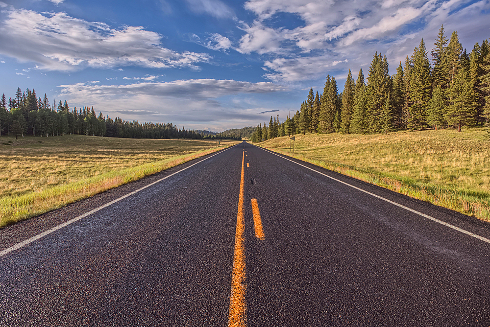 Highway 67 facing north in Pleasant Valley of Kaibab National Forest Arizona near sundown after a rain. North of Grand Canyon North Rim.
