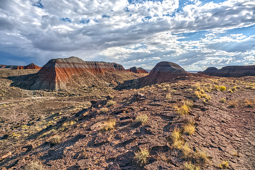 Northside view of the Teepees at Petrified Forest National Park Arizona.