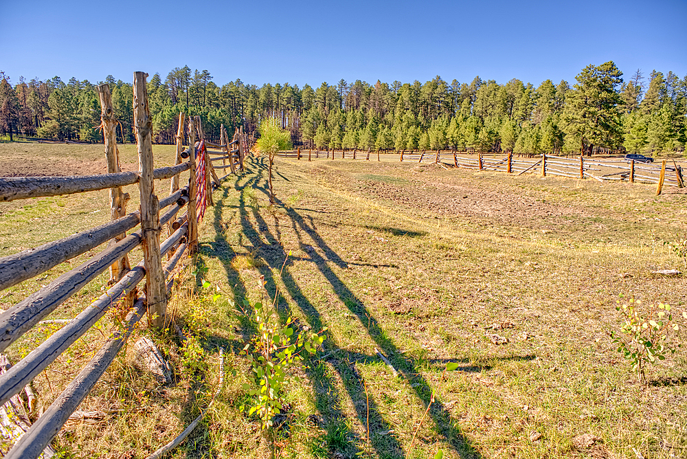An old cattle corral in the bottom of currently dry Murrays Lake in the Kaibab National Forest of Arizona.