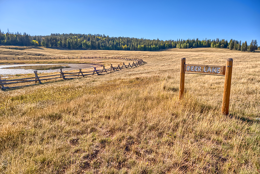 Deer Lake Sinkhole on the Kaibab Plateau in northern Arizona near sunset. The wood fence is to keep cattle from getting stuck in the hole.